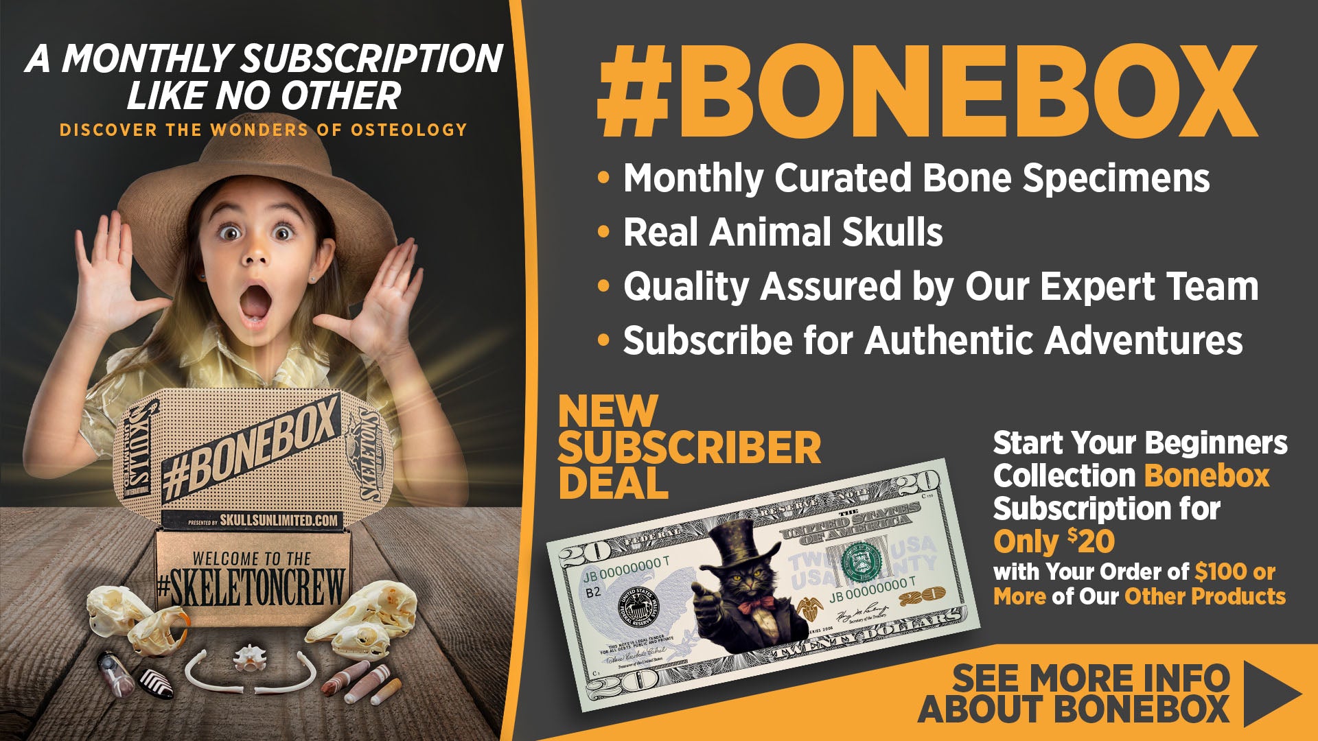 BoneBox — Monthly mystery skull subscription