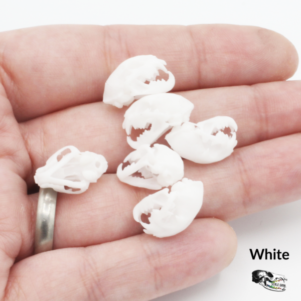 Bobcat Skull Replica – 1:12 Scale (Set of 5)
