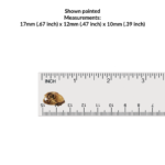 Bobcat Skull Replica – 1:12 Scale (Set of 5)