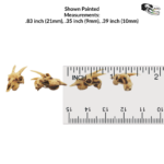 Goat Skull Replica – 1:12 Scale (Set of 5)