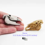 Horse Skull Replica – 1:12 Scale