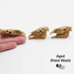 Horse Skull Replica – 1:12 Scale
