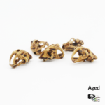 Saber-Toothed Tiger Skull Replica – 1:24 Scale (Set of 5)