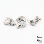 Saber-Toothed Tiger Skull Replica – 1:24 Scale (Set of 5)