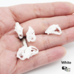 Saber-Toothed Tiger Skull Replica – 1:24 Scale (Set of 5)