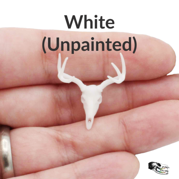 White-Tailed Deer Skull Replica – 1:24 Scale