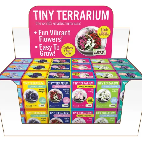 Tiny Terrarium