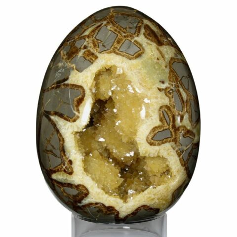 Septarian Egg Mineral Specimen