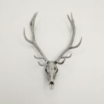 Miniature Red Deer Skull Replica