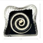 Real Snake Skeleton in Acrylic – Textured