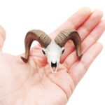 Bighorn Sheep Skull Replica – 1:12 Scale
