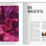 The Universe in 100 Colors by Tyler Thrasher and Terry Mudge
