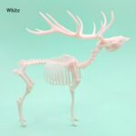 Red Deer Skeleton Replica – 1:18 Scale