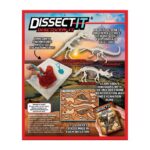 DISSECT IT – Dino Dig