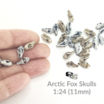 Arctic Fox Skull Replica – 1:24 Scale