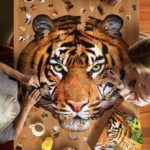 I Am Tiger 550 Piece Puzzle