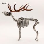 Red Deer Skeleton Replica – 1:18 Scale