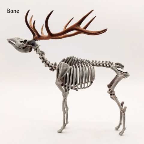 Red Deer Skeleton Replica - 1:18 Scale