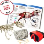 VR Discovery Box- Dinosaur