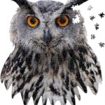 I Am Owl 550 Piece Puzzle
