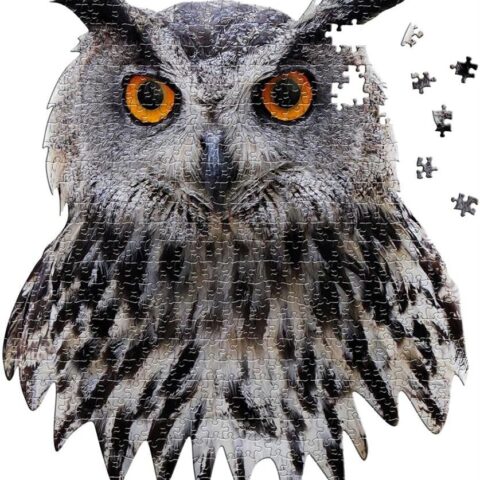 I Am Owl 550 Piece Puzzle