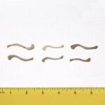Real Research Quality Human Fetal Clavicle – Single