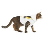 Mercy Is Fur The Weak Indiana Bones Pet Hoodie