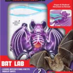 DISSECT IT – Bat