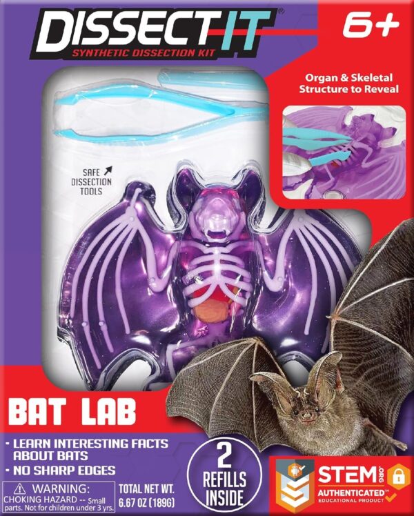 DISSECT IT – Bat