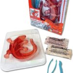 DISSECT IT – Salamander Lab