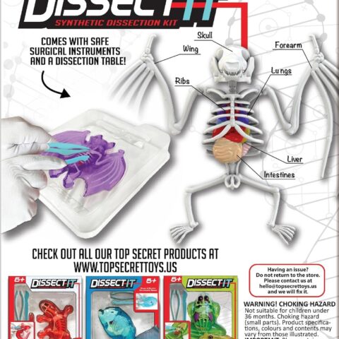 DISSECT IT - Bat
