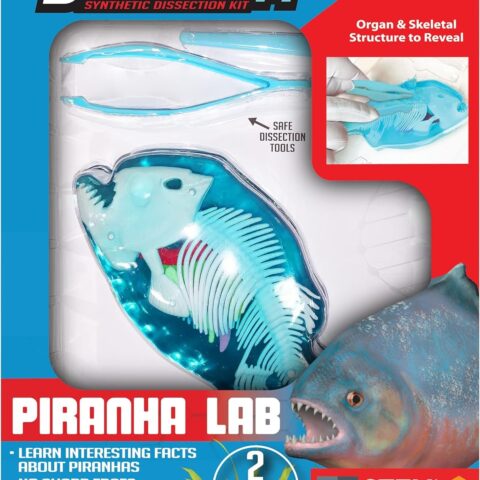 DISSECT IT - Piranha Lab