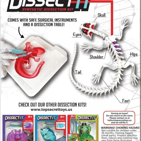 DISSECT IT - Salamander Lab