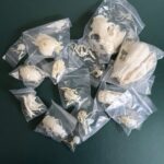 Mystery BoneBag – Skull Pack