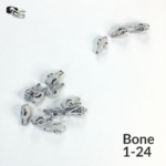 Red Fox Skull Replica – 1:24 Scale