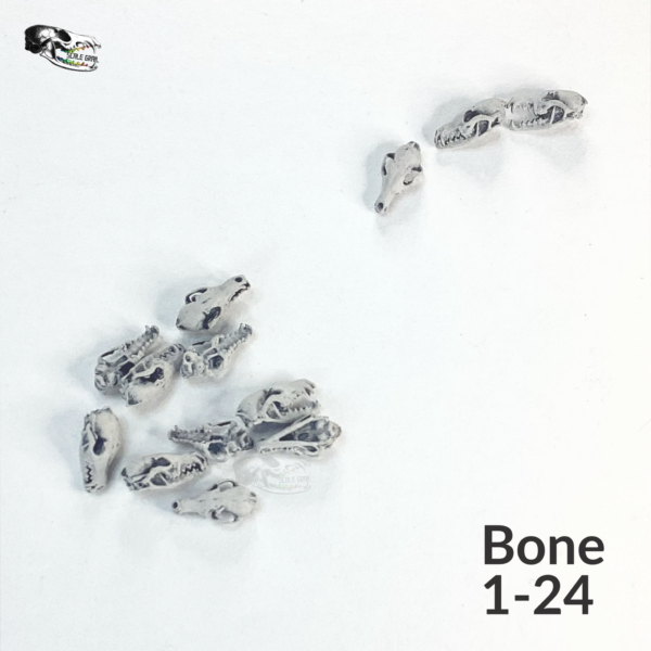 Red Fox Skull Replica – 1:24 Scale
