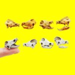 Alligator Snapping Turtle Skull Replica – 1:12 Scale (Set of 2)