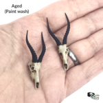 Blesbuck Skull Replica – 1:12 Scale (Set of 2)