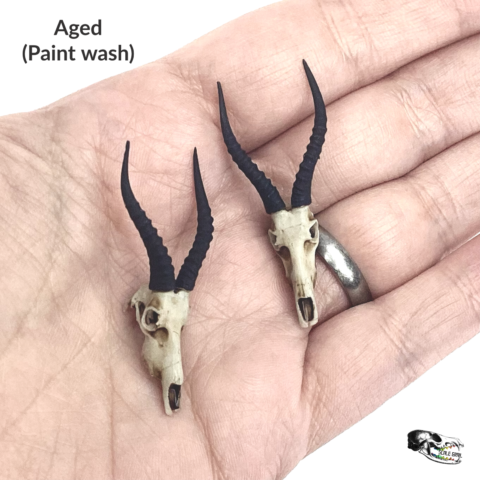 Blesbuck Skull Replica - 1:12 Scale (Set of 2)