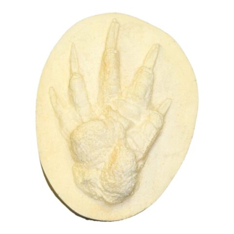 Replica American Beaver Negative Footprint