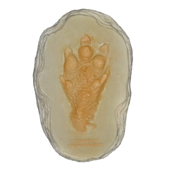 Replica Nine-banded Armadillo Footprint