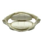 Replica Cownose Ray Jaw