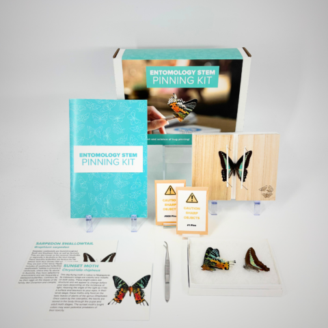 Entomology STEM Pinning Kit