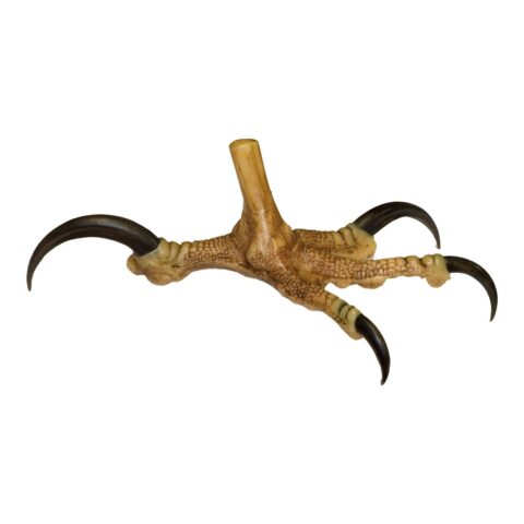 Replica Bald Eagle Foot - Open (21 cm)