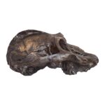 Replica Black KNM WT-1700 Skull – Cranium Only – 794.0126 g