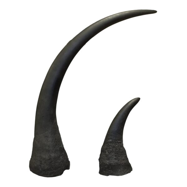 Replica Black Rhinoceros Horns (Pair)