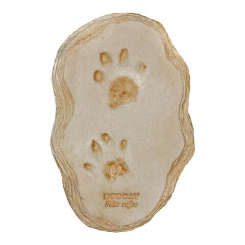 Replica Bobcat Footprints