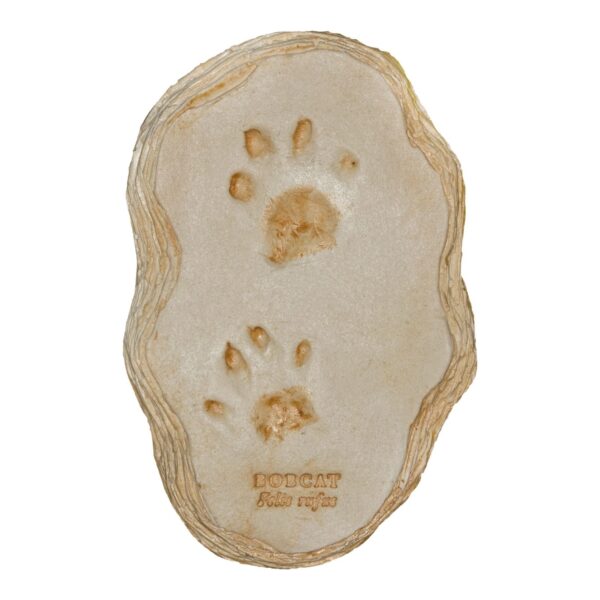 Replica Bobcat Footprints