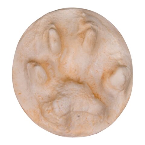 Replica Bobcat Negative Footprint
