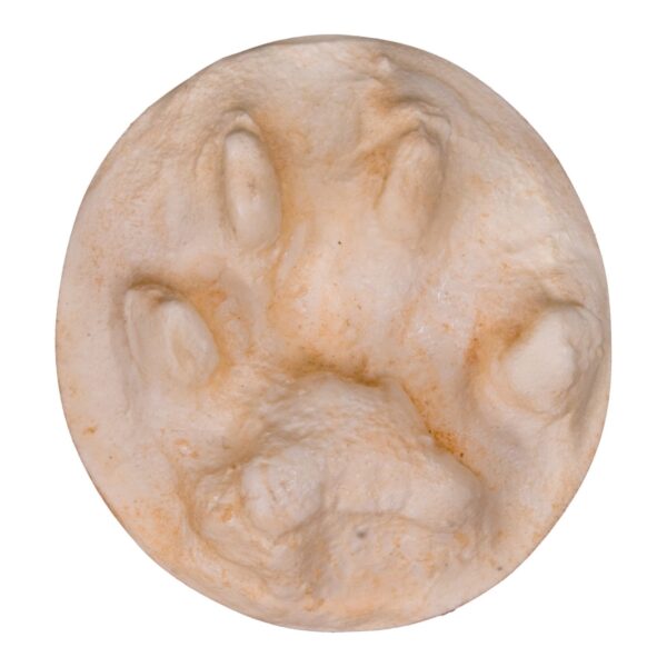 Replica Bobcat Negative Footprint